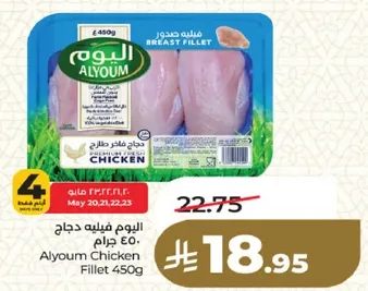 Alyoum Chicken Fillet 450g