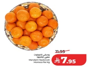 يوسف لاندوروت هندي