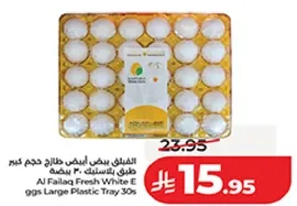 AJ Failaq Fresh White Eggs Large Plastic Tray 30s