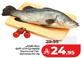 سمك قانص (باراموندي) مجمد للكيلو