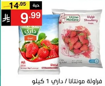فراوله مونتانا / داري 1 كيلو