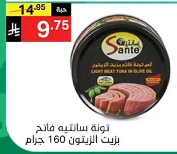 تون ستيت فاتي بريد التونه زيت الزيتون 160 جرام.