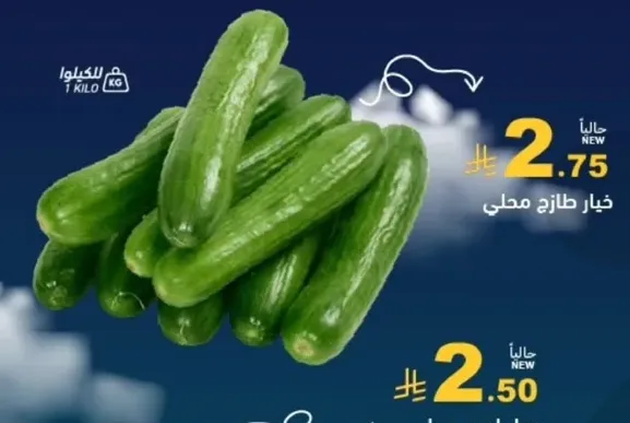 خيار طازج محلي