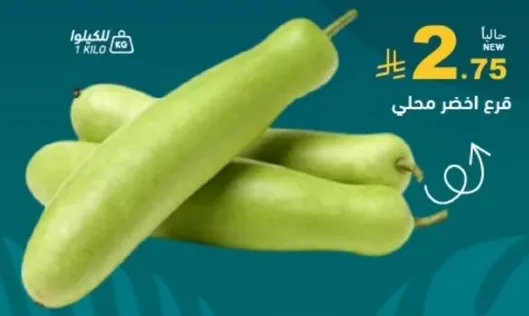 قرع اخضر محلي.