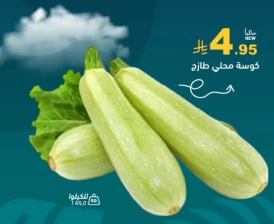 كوسه محلي طازج.