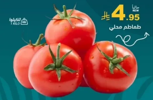 طماطم محلي
