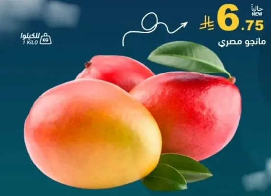 مانجو مصري، 1 كيلو.