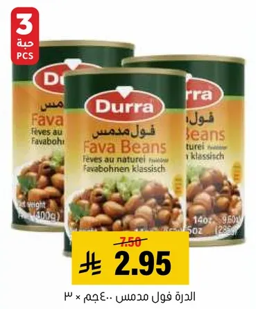 Canned Fava Beans