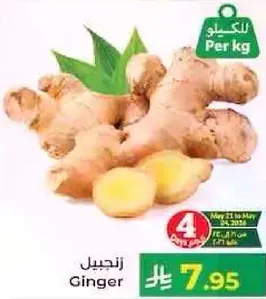 زنجبيل