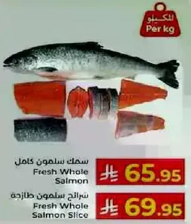 Fresh Whole Salmon
