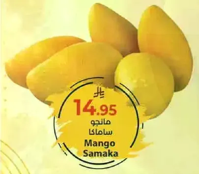 Mango Samaka