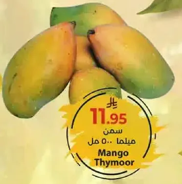 Mango Thyme