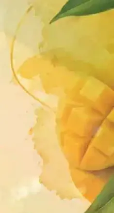 Fresh mango juice made from ripe mangoes.