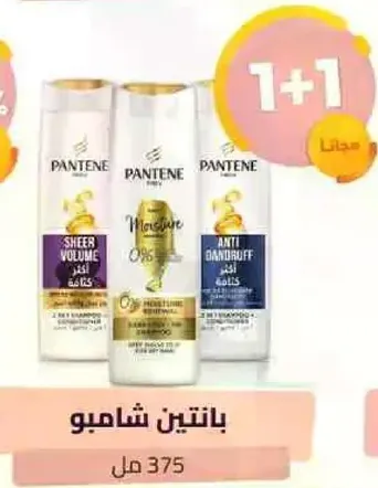 بانتين شامبو 375 مل.