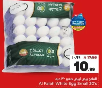 الفلاح بيض ابيض صغير 30 حبه