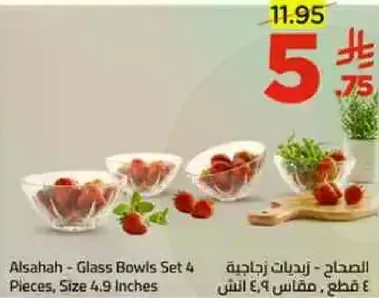 الصحاح - زجاجيات زجاجيه 4 قطع، مقاس 4.9 انش