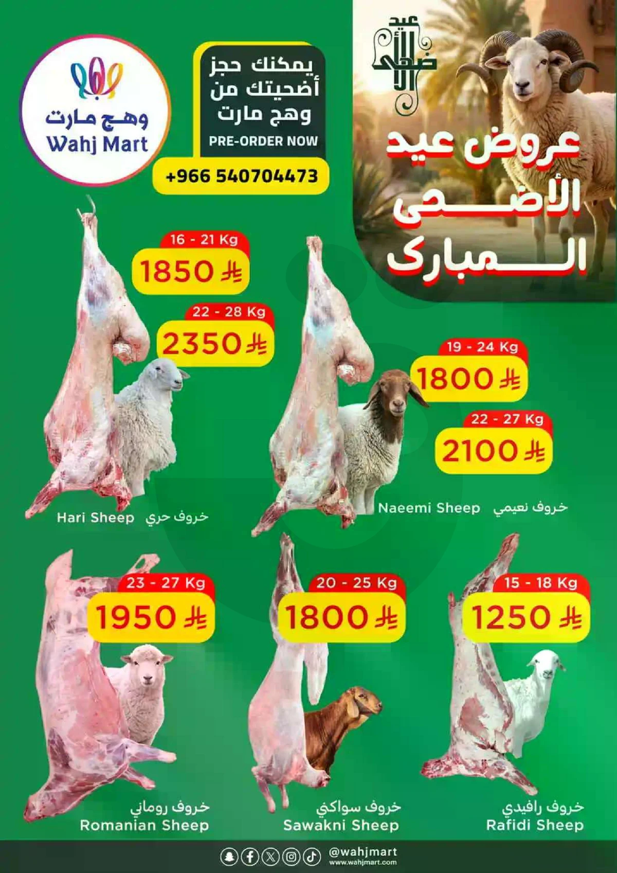 بركة العشر - صفحة 13